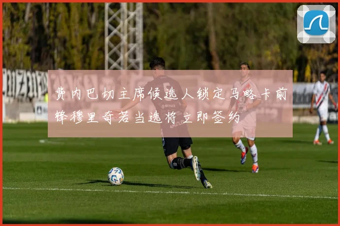 费内巴切主席候选人锁定马略卡前锋穆里奇若当选将立即签约