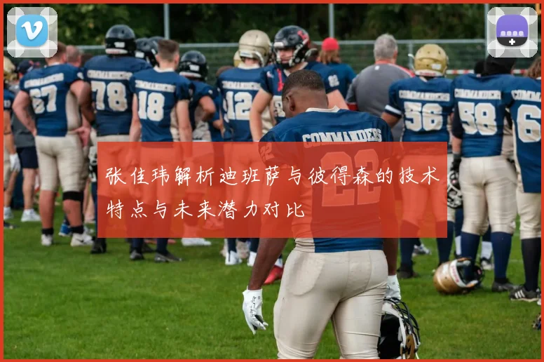 张佳玮解析迪班萨与彼得森的技术特点与未来潜力对比